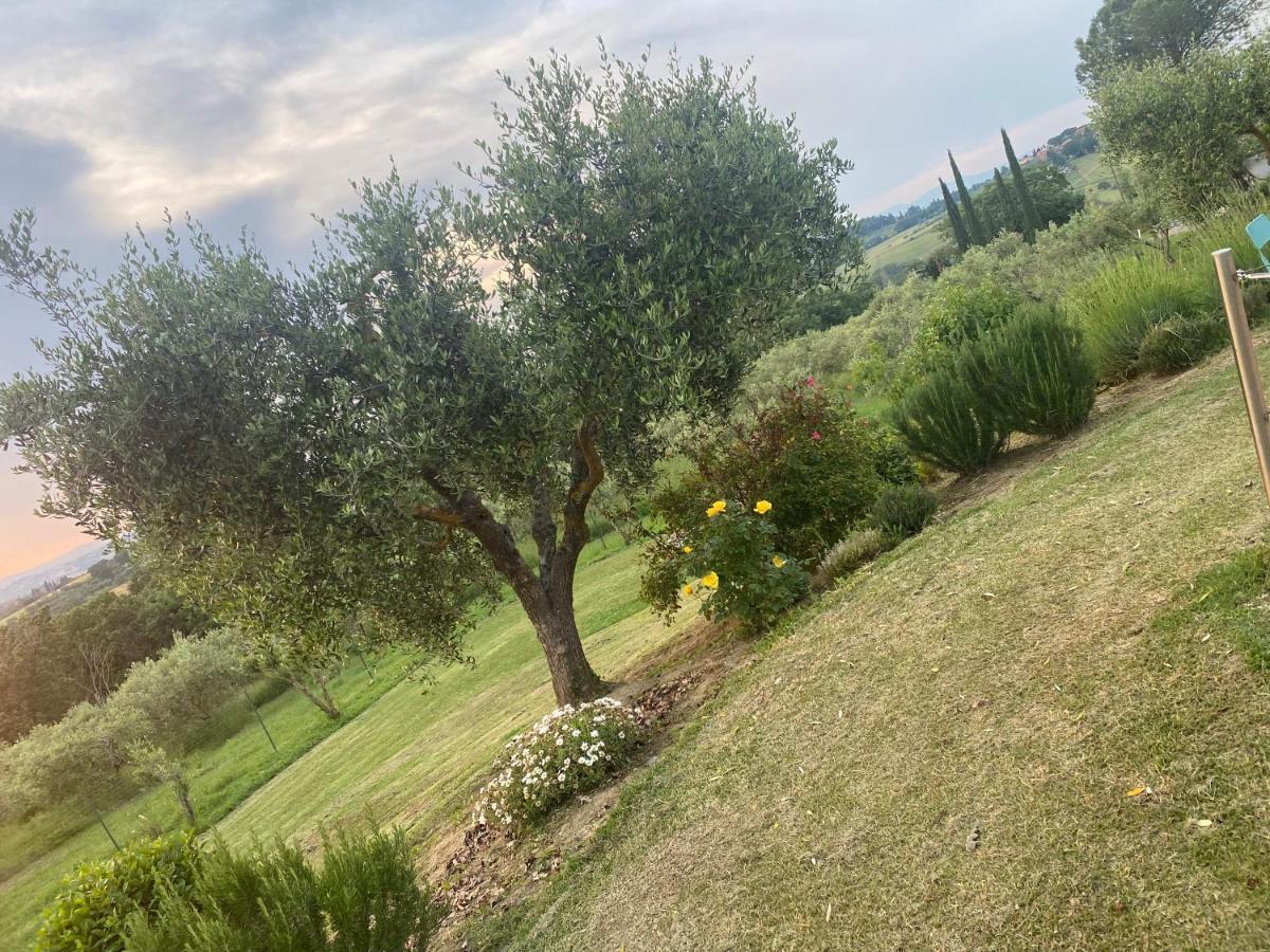 Agriturismo Palazzo Val Del Sasso Villastrada  Экстерьер фото